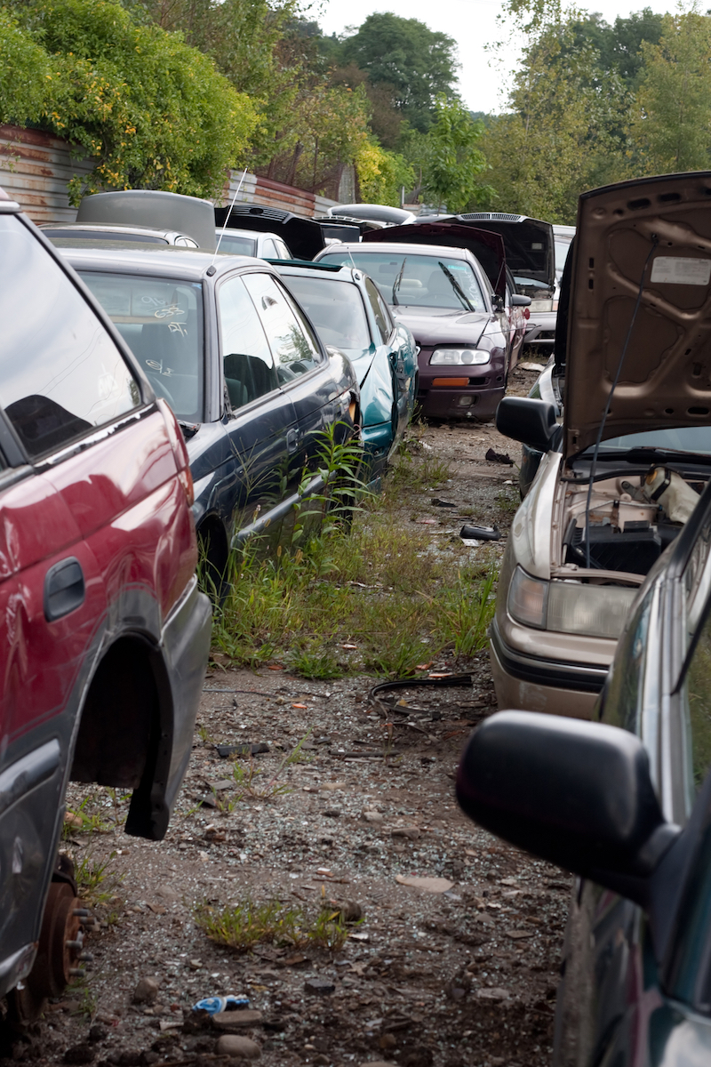 Cars in the Junk Yard